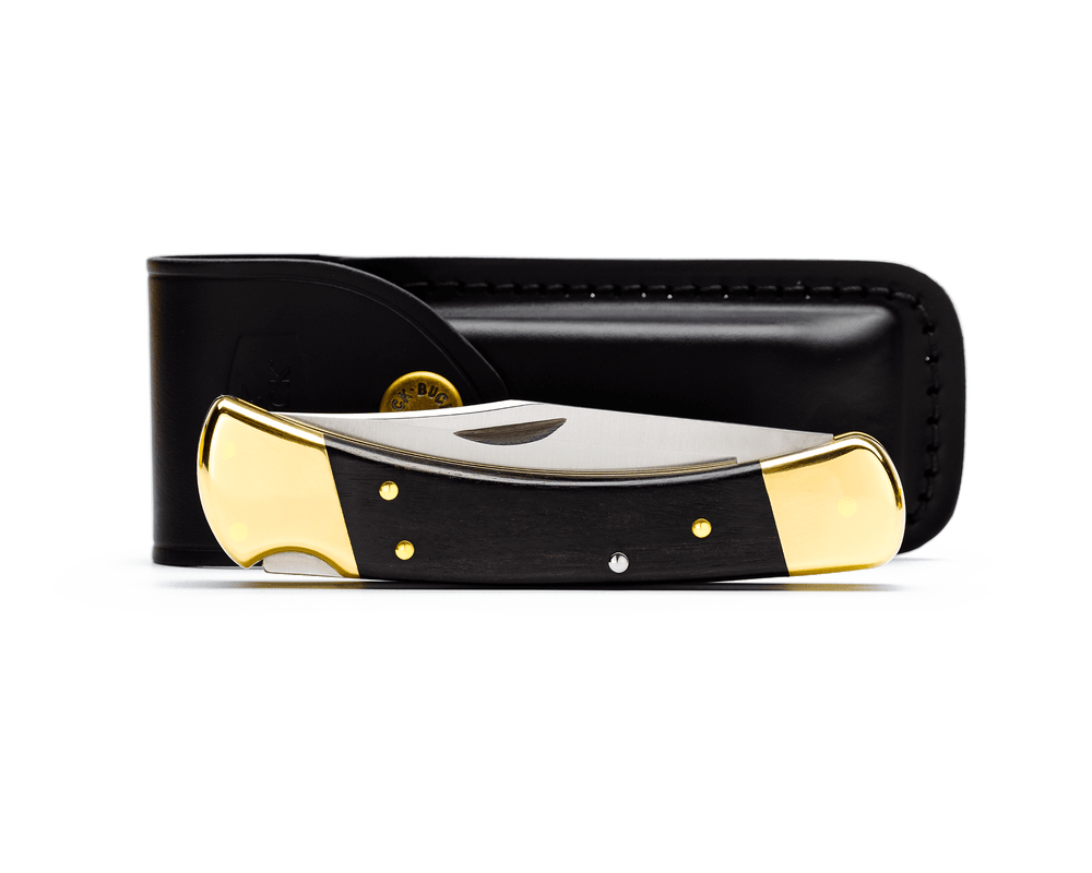Buck 110 Hunter Folding Lock Knife