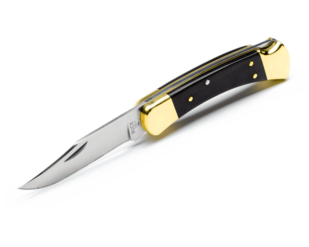 Buck 110 Hunter Folding Lock Knife