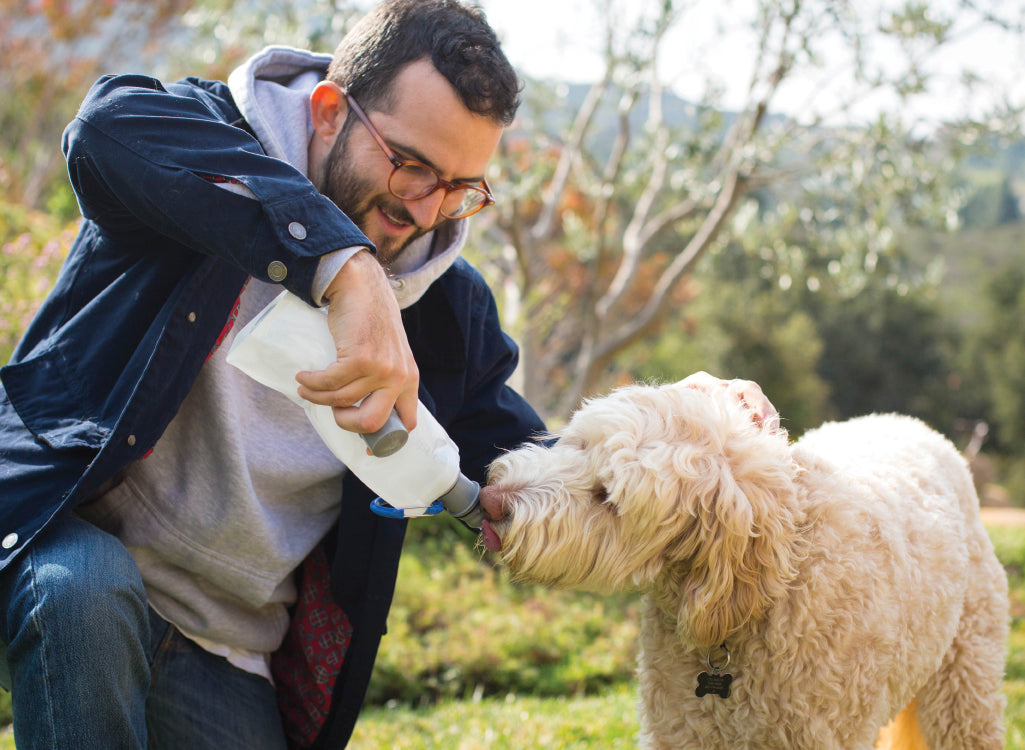 Vapur 700ml EZ Lick Foldable Dog Water Bottle