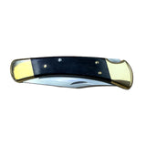Buck 110 Hunter Folding Lock Knife