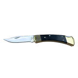 Buck 110 Hunter Folding Lock Knife