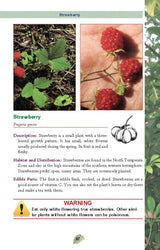 Pocket Guide to Edible Plants Book