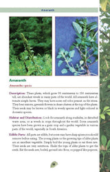 Pocket Guide to Edible Plants Book