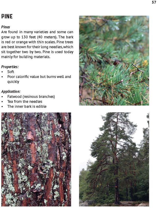 The Art of Bushcraft Book