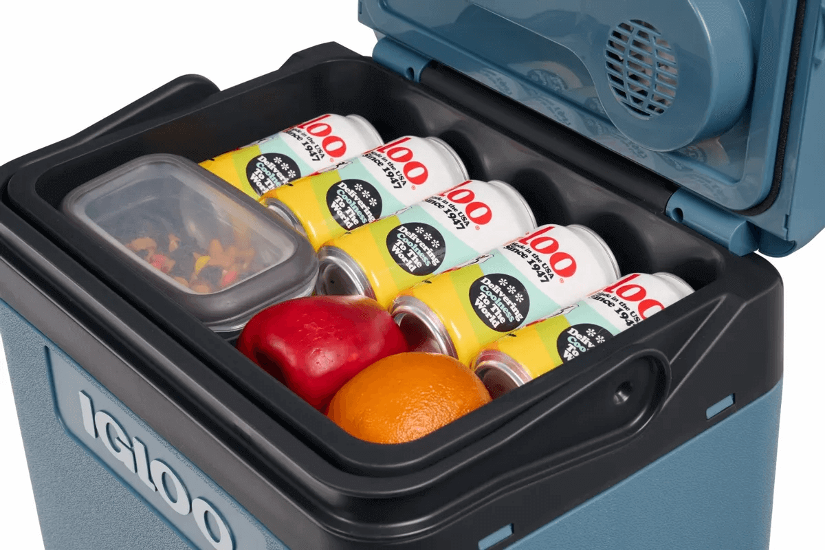 Igloo IE 24 AC/DC Thermoelectric Cooler Box - 24L